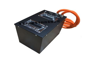 設(shè)備鋰電池 AGV車 RGV車 物流車磷酸鐵鋰電池 長(zhǎng)壽命 24V 25.6V60Ah